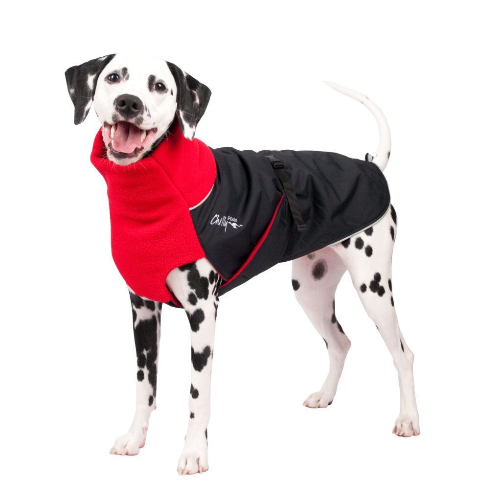 Chilly dogs great white north store winter coat