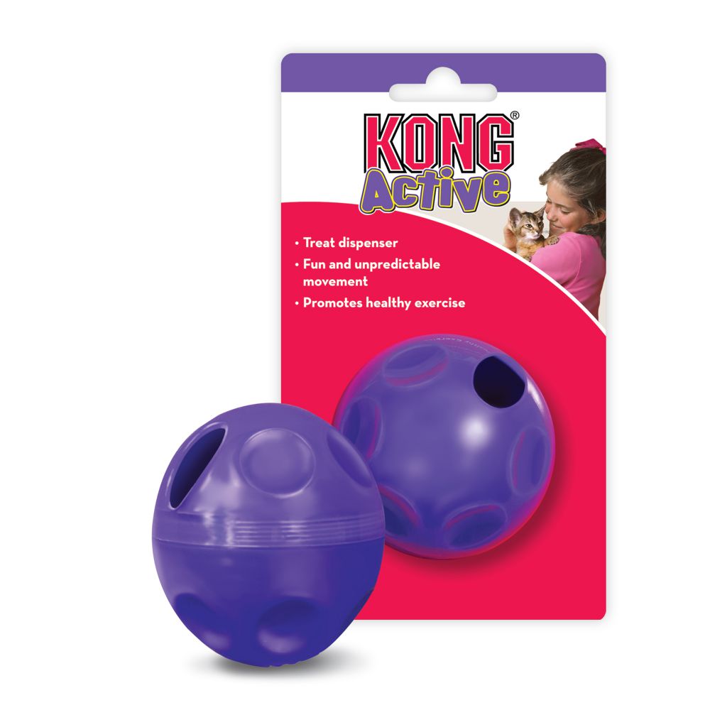 Kong dog clearance food dispenser