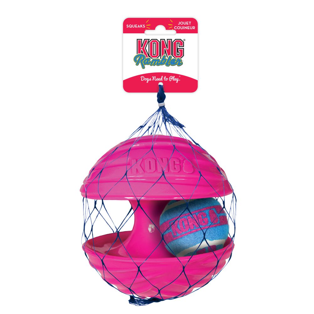 Kong rambler 2025 ball large