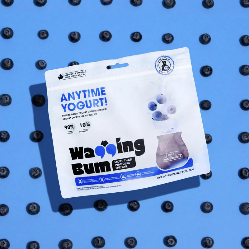 Wagging Bum Anytime Yogurt! Freeze-dried Yogurt with Blueberry