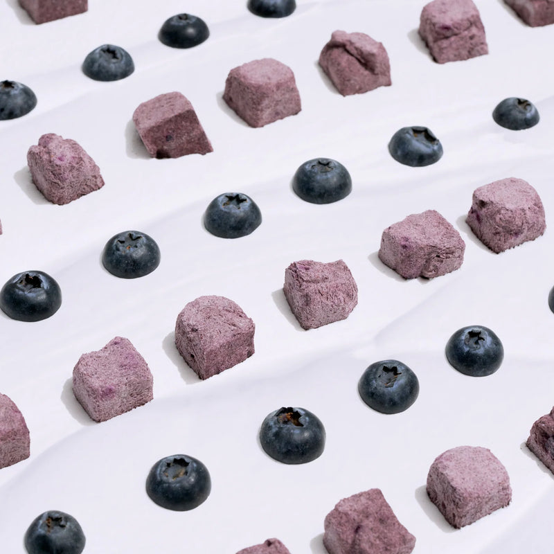 Wagging Bum Anytime Yogurt! Freeze-dried Yogurt with Blueberry