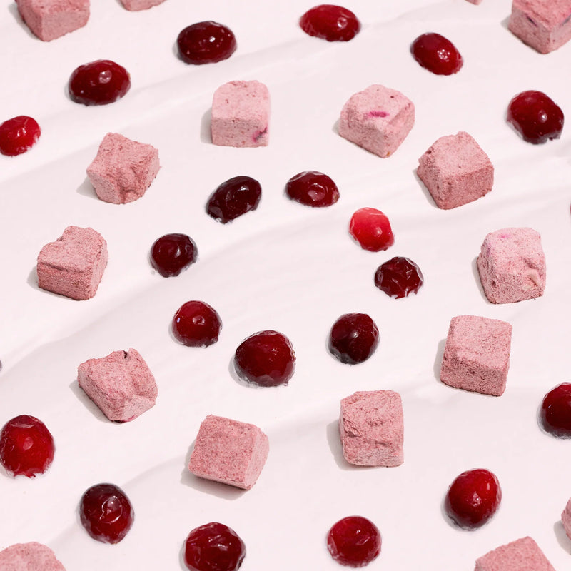 Wagging Bum Anytime Yogurt! Freeze-dried Yogurt with Cranberry