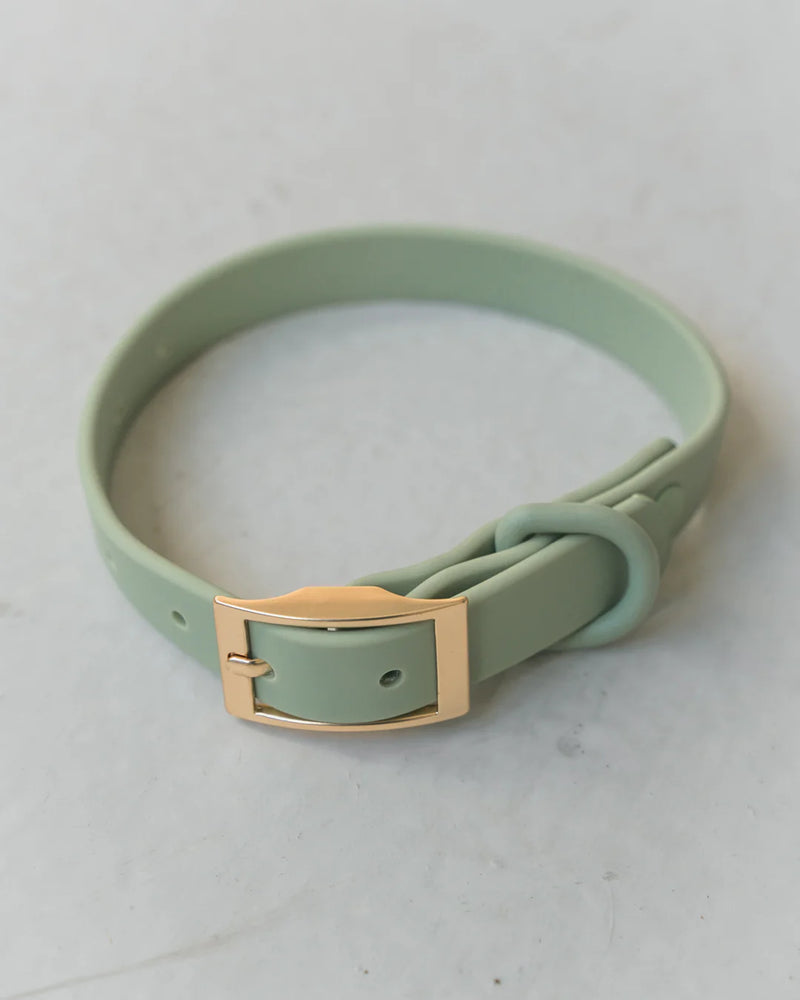 Dexypaws Waterproof Dog Collar Sage Green