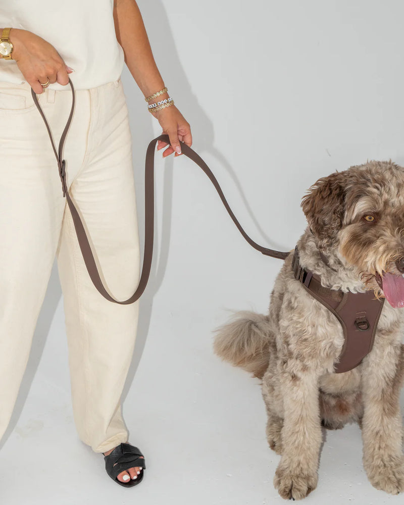 Dexypaws Waterproof Dog Leash Espresso