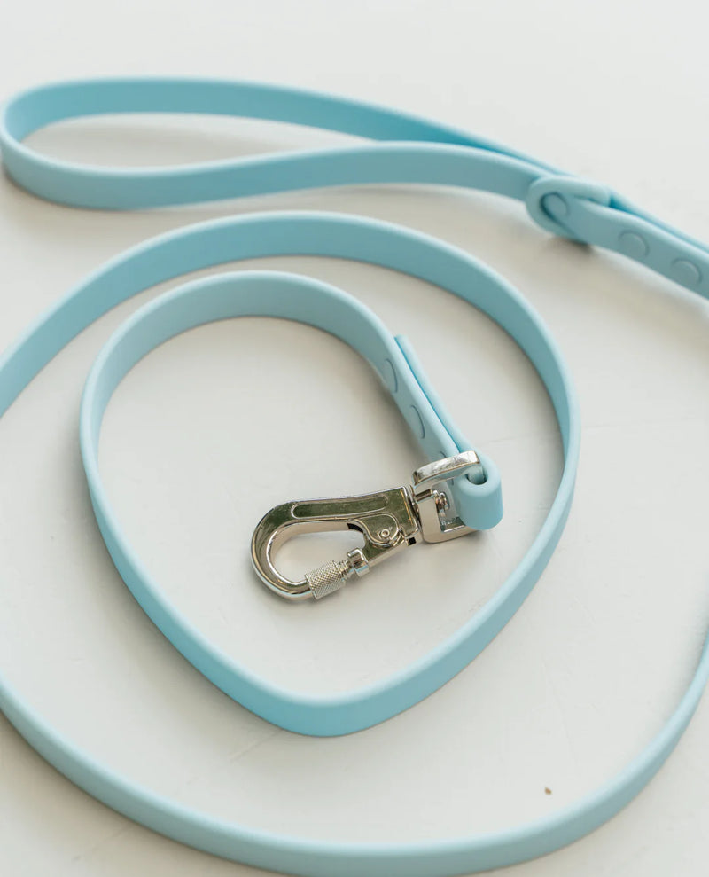 Dexypaws Waterproof Dog Leash Sky Blue