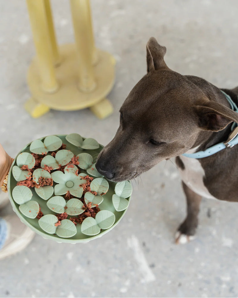 Sage Green Circle Enrichment Snuffle Mat