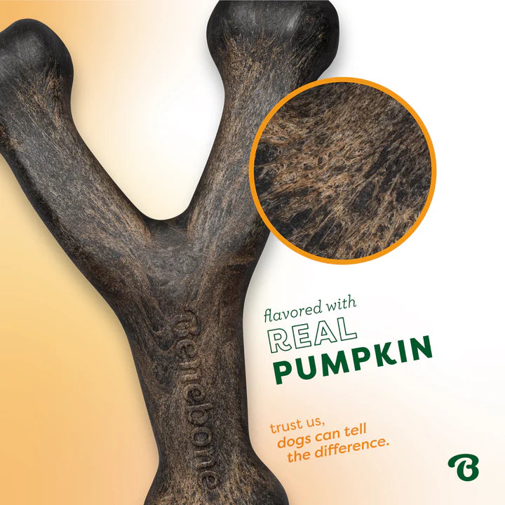 Benebone Wishbone Pumpkin Spice