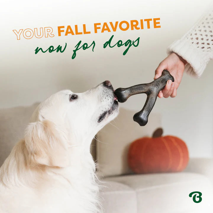 Benebone Wishbone Pumpkin Spice