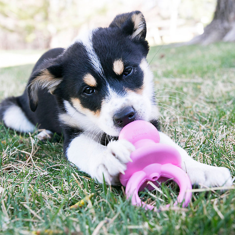 Kong Puppy Binkie Dog Toys