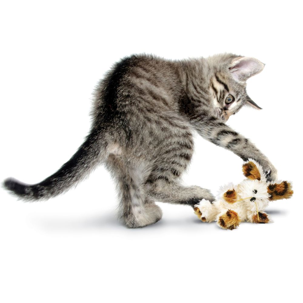 Fuzzy cat toys 2025