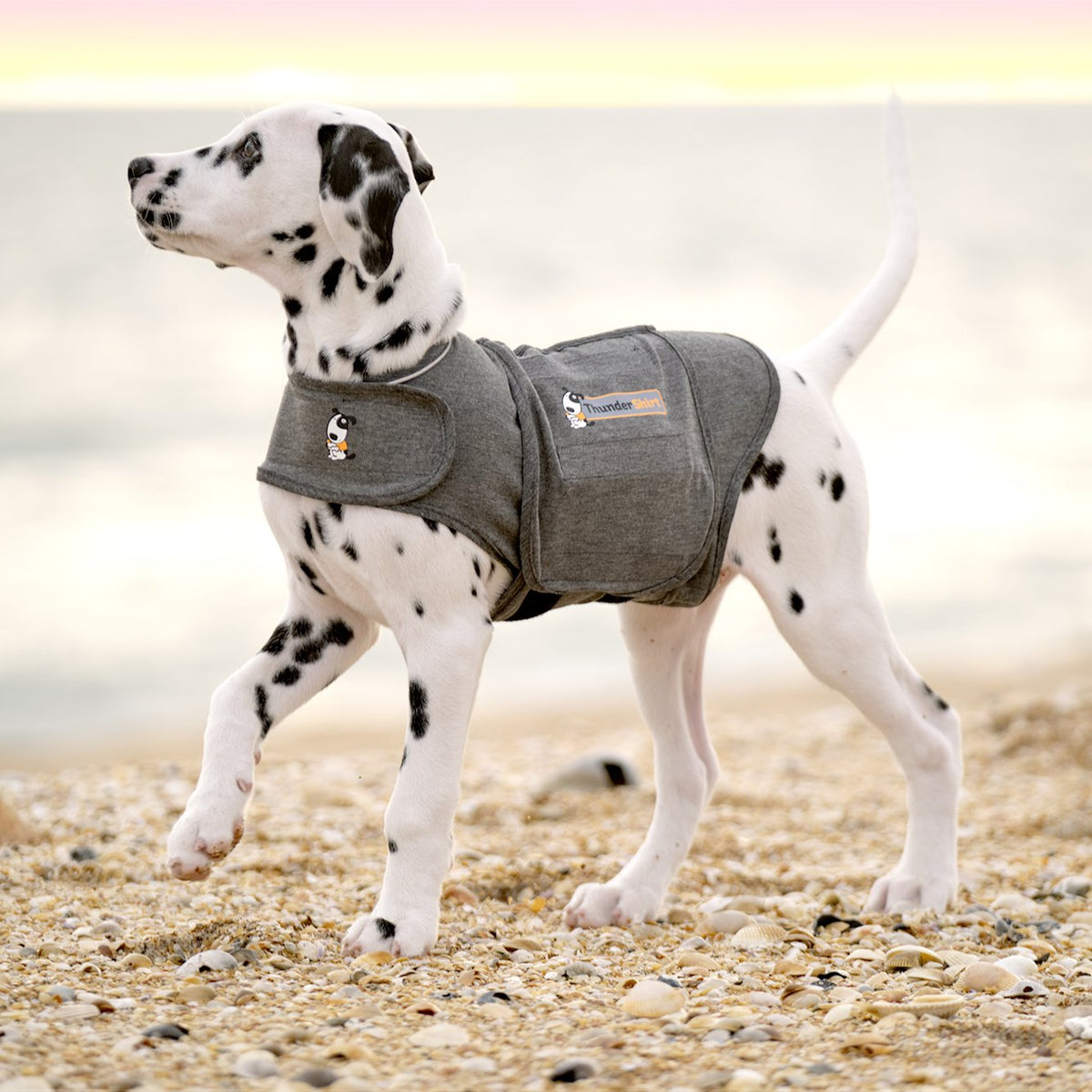 Thundershirt Calming Aid